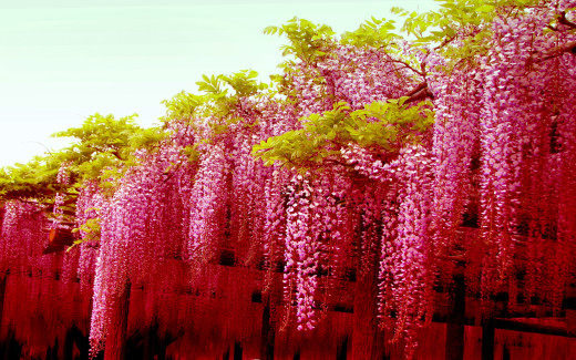 765756 (a): :2880x1800